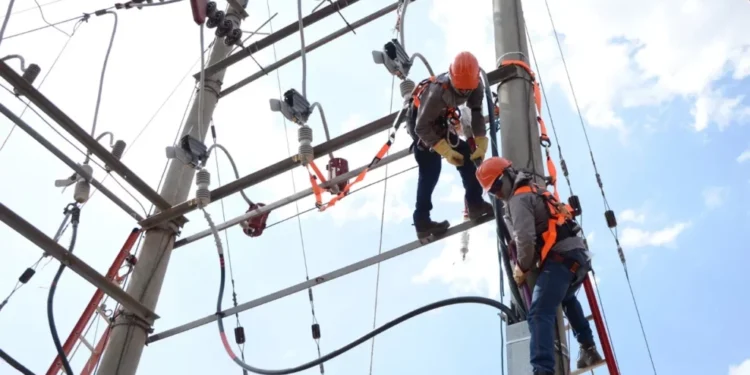 El uso de tecnología podría reducir pérdidas de energía