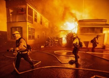 En gráficos: La devastación dejada por los incendios en Los Ángeles