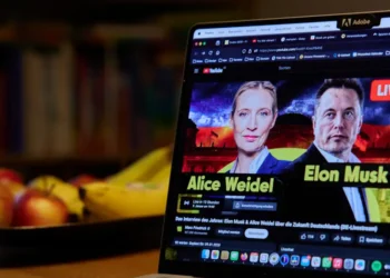 La candidata ultraderechista alemana charla con Elon Musk