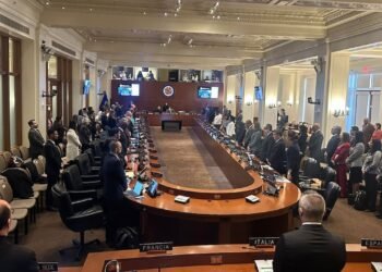 14 países de la OEA rechazan la investidura de Maduro por «carecer de legitimidad democrática»