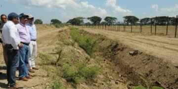 “Gobierno deja caer proyecto Guineero la Cruz de Manzanillo”