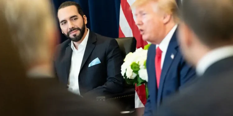 EE.UU. negocia con El Salvador la recepción de indocumentados de terceros países: CBS