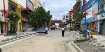 Críticas por remodelación del Barrio Chino en la avenida Duarte debido a la ampliación de la acera