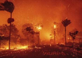 «Mucha gente quiere respuestas»: ¿Qué pudo haber provocado los incendios en California?