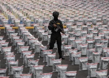 Arrestan al director municipal de Bayahíbe y a su hijo implicados en la Operación Panthera