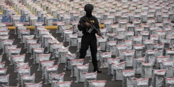 Arrestan al director municipal de Bayahíbe y a su hijo implicados en la Operación Panthera