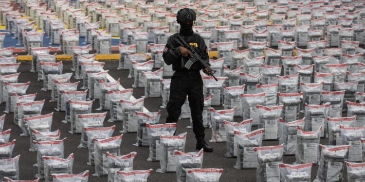 Arrestan al director municipal de Bayahíbe y a su hijo implicados en la Operación Panthera