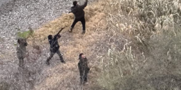 Los cárteles mexicanos ordenan atacar Patrulla Fronteriza de EU