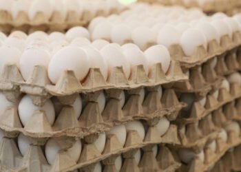 Roban 100.000 huevos de un camión en Pensilvania en plena escasez de este alimento en EEUU