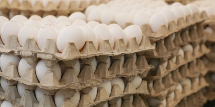 Roban 100.000 huevos de un camión en Pensilvania en plena escasez de este alimento en EEUU