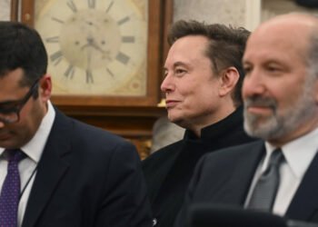 Musk no dirige el departamento de eficiencia gubernamental, aclara la Casa Blanca