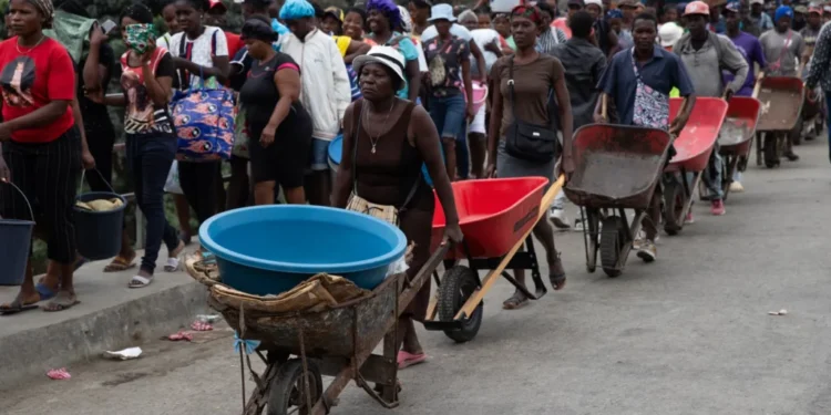 Fundación Zile propone crear un plan de reinserción laboral para los deportados haitianos