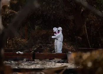 Los incendios de Los Ángeles provocaron pérdidas de más de 30.000 millones en inmuebles