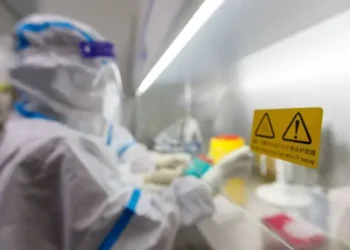 Científicos de China descubrieron en murciélagos un nuevo virus similar al COVID-19