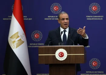 Egipto dice a EE.UU que los países árabes rechazan el plan para Gaza propuesto por Trump