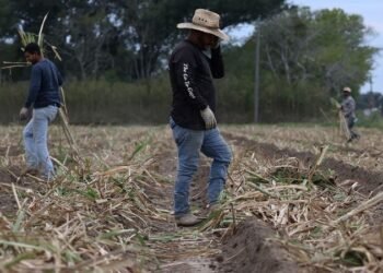 ¿Cuánto aportan los inmigrantes indocumentados a la economía de Estados Unidos?