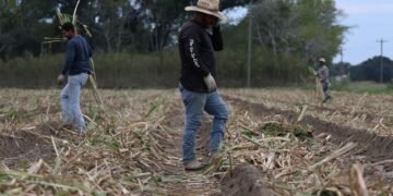 ¿Cuánto aportan los inmigrantes indocumentados a la economía de Estados Unidos?