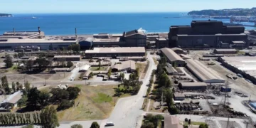 Las siderúrgicas latinoamericanas le piden a Trump una alianza estratégica contra China