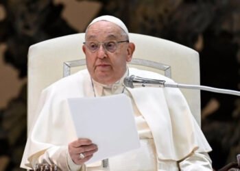 El papa no renunciará y se encuentra «muy bien físicamente», asegura un cardenal