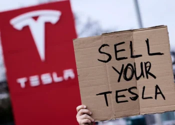 Las ventas de Tesla se redujeron a la mitad en Europa desde principios de año