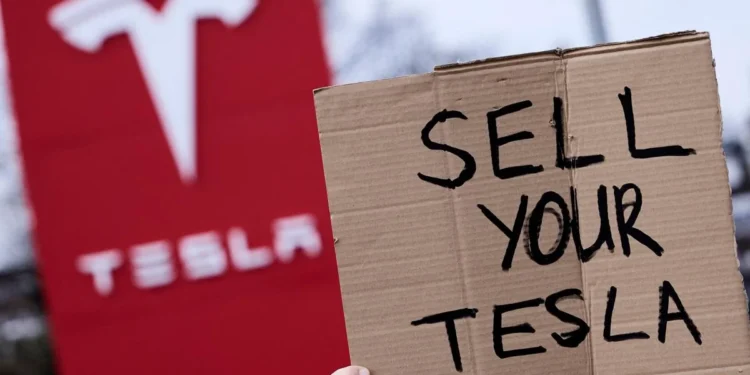 Las ventas de Tesla se redujeron a la mitad en Europa desde principios de año