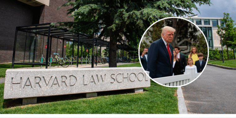 Harvard cede ante presiones de Trump y cambia el nombre de su departamento de diversidad