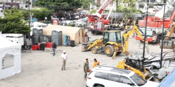 Sociedad de Sismología alerta se deben evaluar estructuras