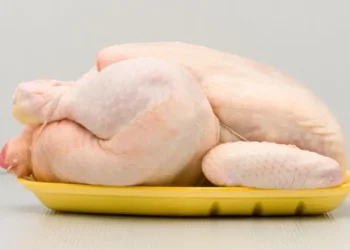 Por qué Europa no quiere el pollo de EE.UU. y qué países de América Latina lo compran