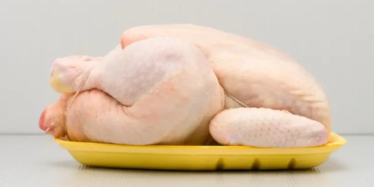 Por qué Europa no quiere el pollo de EE.UU. y qué países de América Latina lo compran