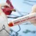 Confirman en México primer caso de influencia aviar H5N1 en humanos