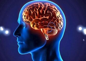 ¿Cómo cuidar tu cerebro en cada etapa de la vida?: 17 consejos prácticos