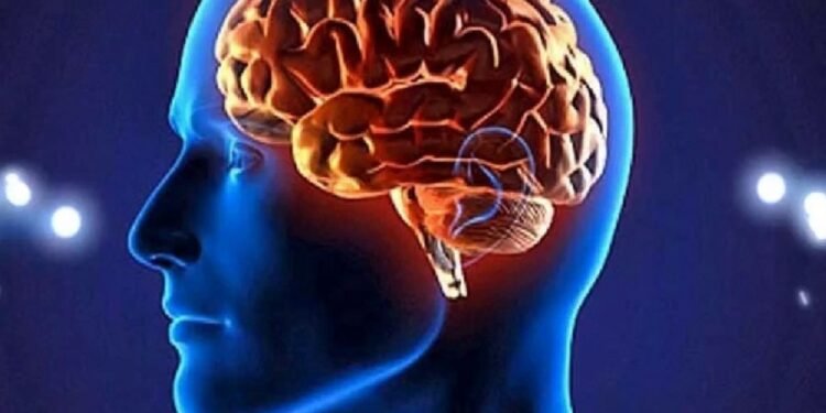 ¿Cómo cuidar tu cerebro en cada etapa de la vida?: 17 consejos prácticos