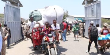 Entra en vigencia prohibición de Haití al ingreso de mercancías extranjeras por la frontera con RD