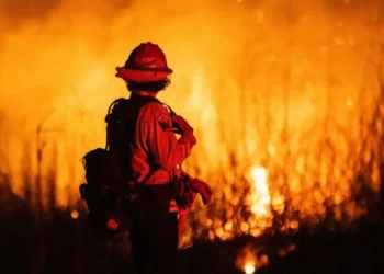 La desesperada carrera por salvar décadas de datos sobre el cambio climático y el clima extremo que están siendo borrados por el gobierno de Trump