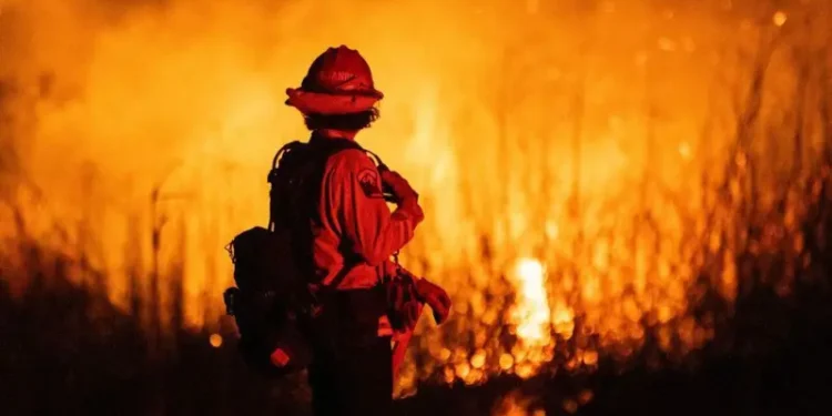 La desesperada carrera por salvar décadas de datos sobre el cambio climático y el clima extremo que están siendo borrados por el gobierno de Trump