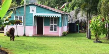 Vivir en el campo y dejar la ciudad puede acabar con problemas de autoestima, confirman Psicólogos