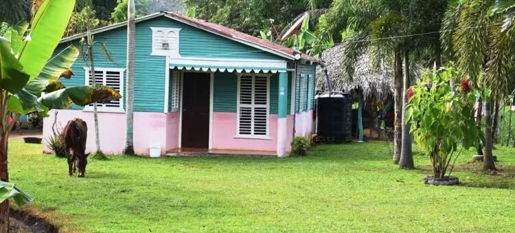 Vivir en el campo y dejar la ciudad puede acabar con problemas de autoestima, confirman Psicólogos