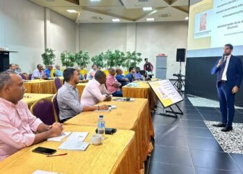 Dirigentes del PLD avanzan en capacitación electoral