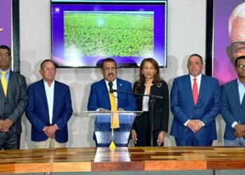El PLD propone medidas para rescatar la producción de banano dominicano del colapso/video