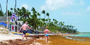 El sargazo: un enemigo que nos arropa y amenaza