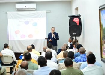 Encuentros del PLD para consolidar  estructura partidaria