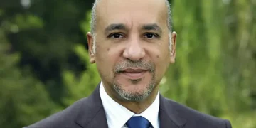 El porqué del disparatoso