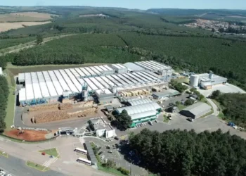 Industria maderera de Brasil opta por vacaciones colectivas forzosas ante arancel de Trump