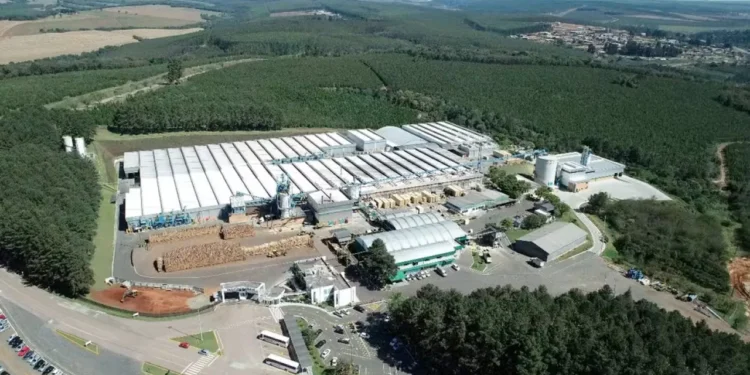 Industria maderera de Brasil opta por vacaciones colectivas forzosas ante arancel de Trump