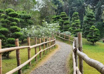 Autoridades delimitan áreas del Jardín Botánico; se reducirían con ampliación avenida Colombia