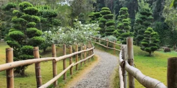 Autoridades delimitan áreas del Jardín Botánico; se reducirían con ampliación avenida Colombia