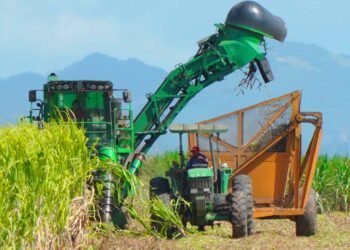 El Central Romana culmina con 306,904 toneladas de azúcar la zafra 2024-2025