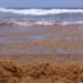 La lucha sin tregua de República Dominicana para limpiar de sargazo sus famosas playas Punta Cana