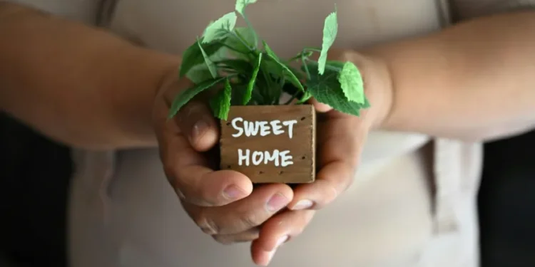 Cómo pagar el alquiler, la otra crisis desatada por las redadas migratorias de Trump