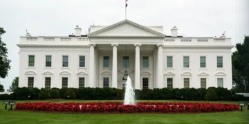 EE.UU. verifica a más de 55 millones de personas con visas válidas por posibles infracciones